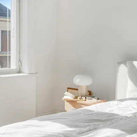Fantastisk Herskabslejlighed I Hjertet Af Kbh
