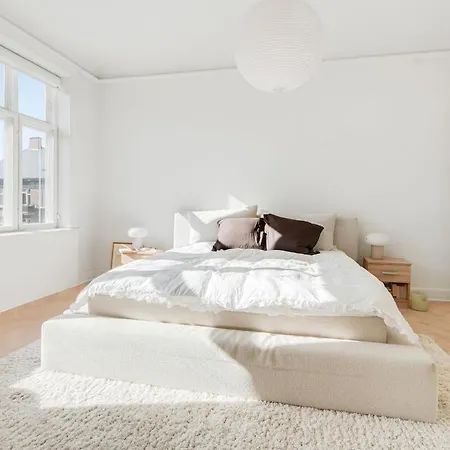 Fantastisk Herskabslejlighed I Hjertet Af Kbh * Kopenhaga